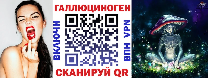 Псилоцибиновые грибы Psilocybe  Куса 